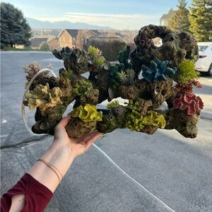 top fin coral bubbler wall fish tank aquarium decor